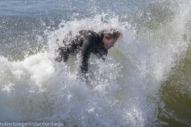 santa cruz, surfer